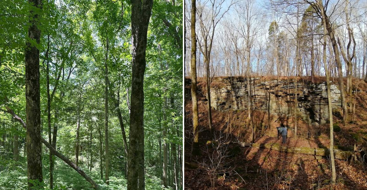 This Short Kentucky Hike Packs Sinkholes, Caves, And Wild Scenery Into One Trail