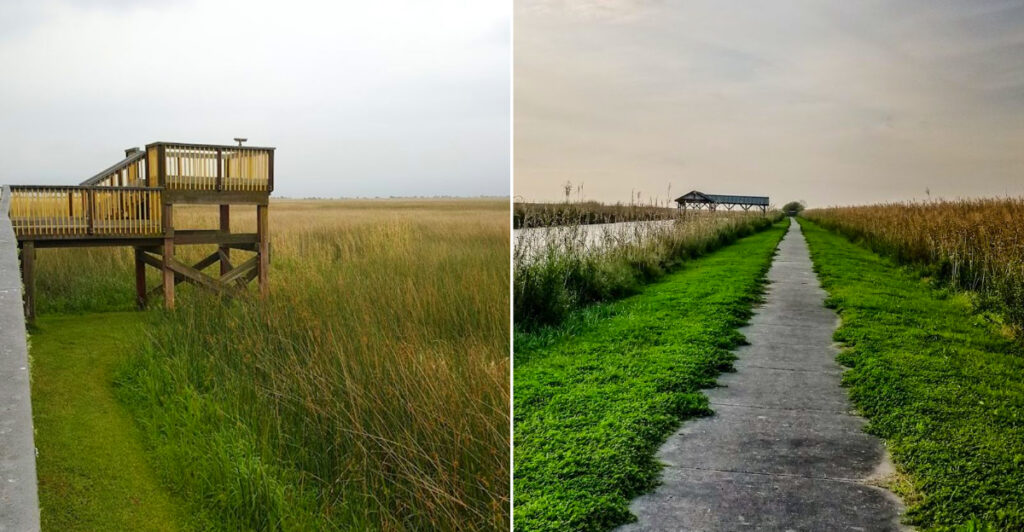 Wetland Walkway, Sabine National Wildlife Refuge