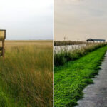 Wetland Walkway, Sabine National Wildlife Refuge