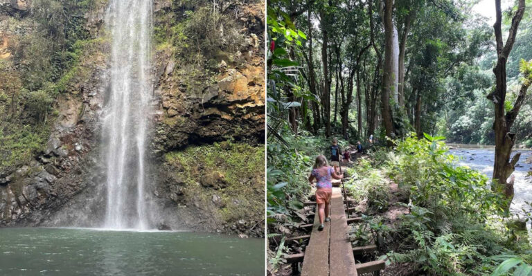 This Short North Carolina Trail Leads To A Waterfall That Feels Far From The Crowds