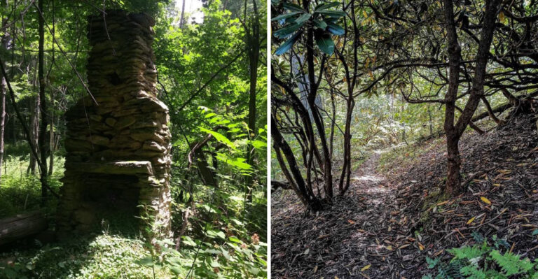 This Stunning Hidden Virginia Gorge So Beautiful And Secluded It Feels Like The East Coast’s Best-Kept Secret