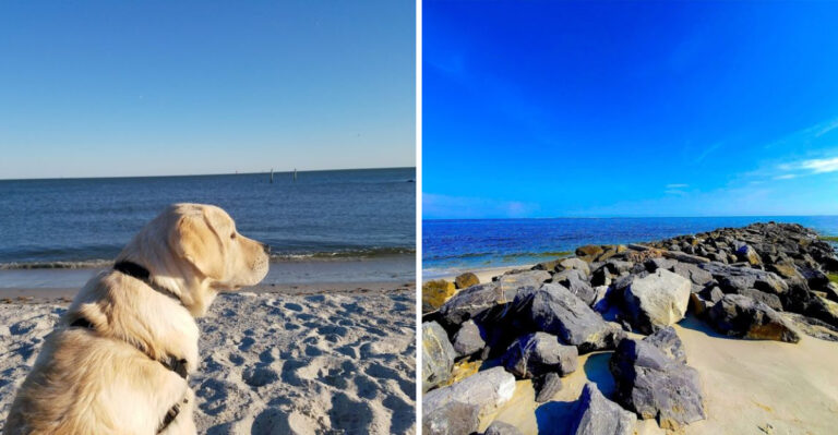 This Tiny Alabama Beach Town Has Stayed Under The Radar So Long Locals Are Starting To Panic
