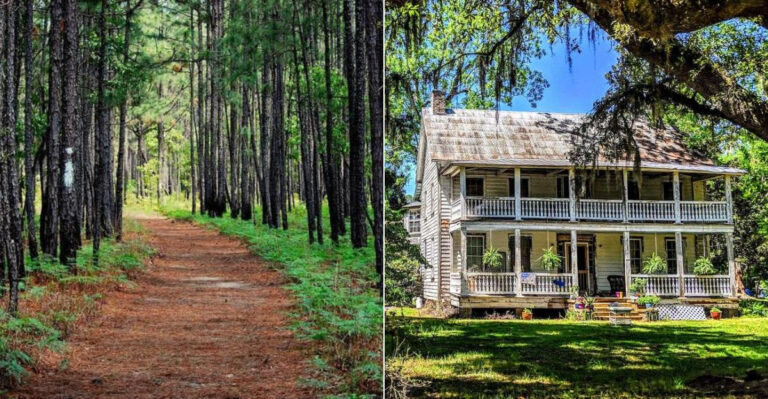 This Tiny South Carolina Town Has Old-School Lowcountry Charm And Serious Relaxed Energy