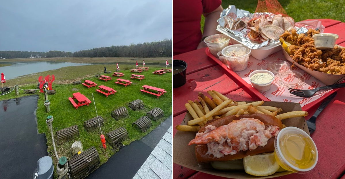This Unassuming Maine Chowder Shack Serves A Bowl Worth Crossing New England For
