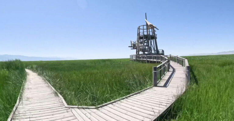 This Utah Boardwalk Glides Over A Hidden Wetland Filled With Migrating Birds