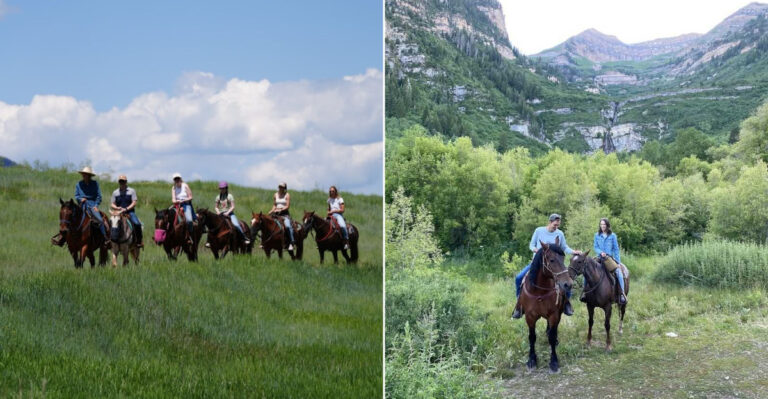 This Utah Horseback Adventure Takes You Deep Into The Wild Beauty Of The Wasatch Mountains