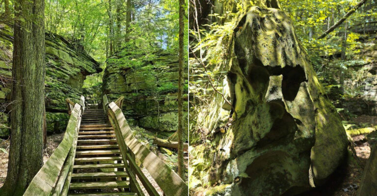 This West Virginia State Park Is A Peaceful Escape Locals Would Rather Keep To Themselves