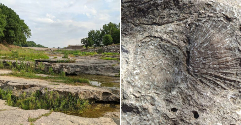 Walk Across An Ancient Ocean Floor In Iowa And Experience Millions Of Years Of History