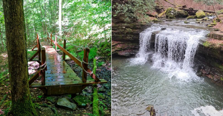 West Virginia’s Hidden Waterfall Is A Short Hike With A Seriously Beautiful Payoff