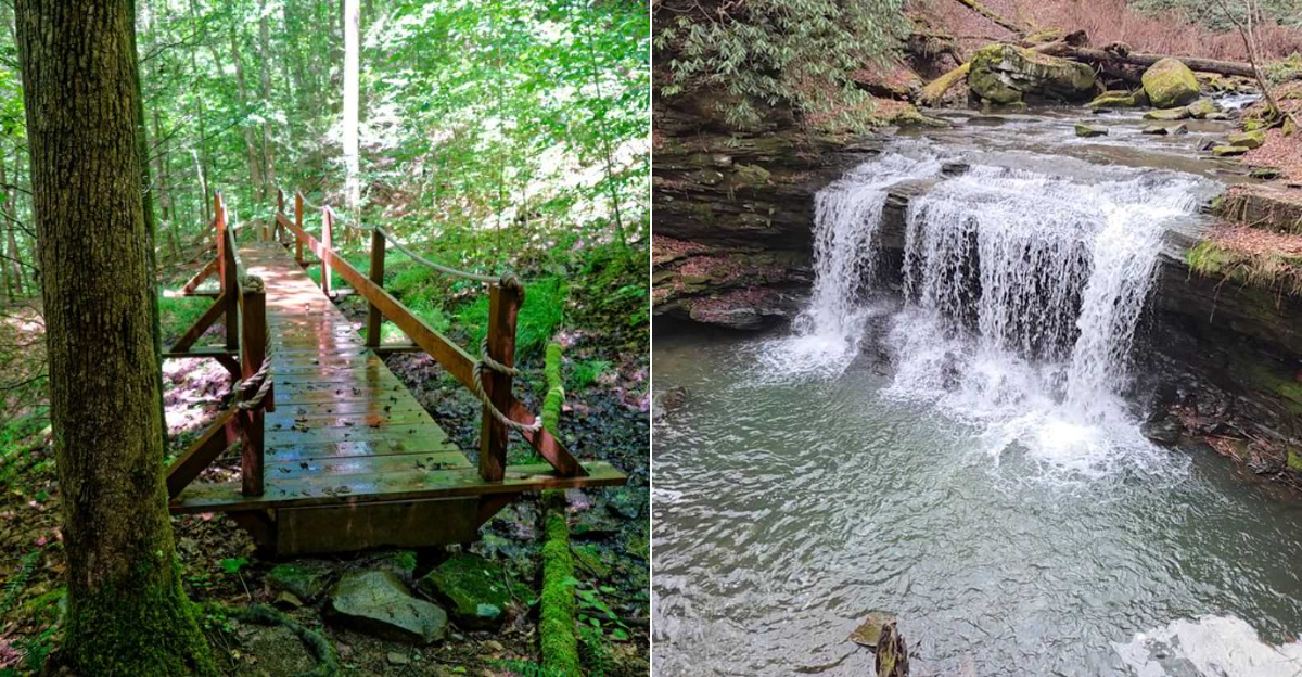 West Virginia’s Hidden Waterfall Is A Short Hike With A Seriously Beautiful Payoff