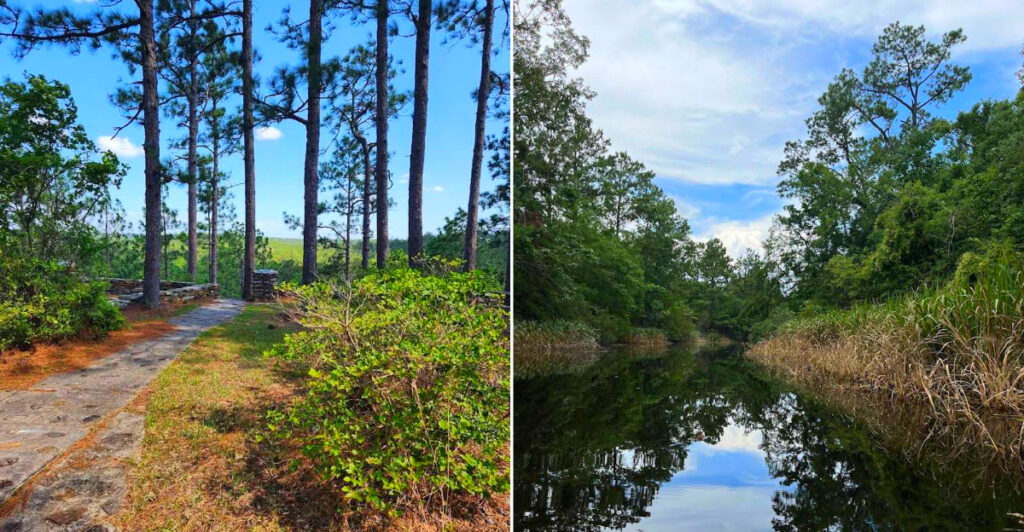 Scenic Louisiana Trails
