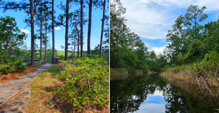 11 Scenic Louisiana Trails Perfect For Year-Round Adventure