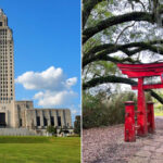 Field Trips For Kids In Louisiana