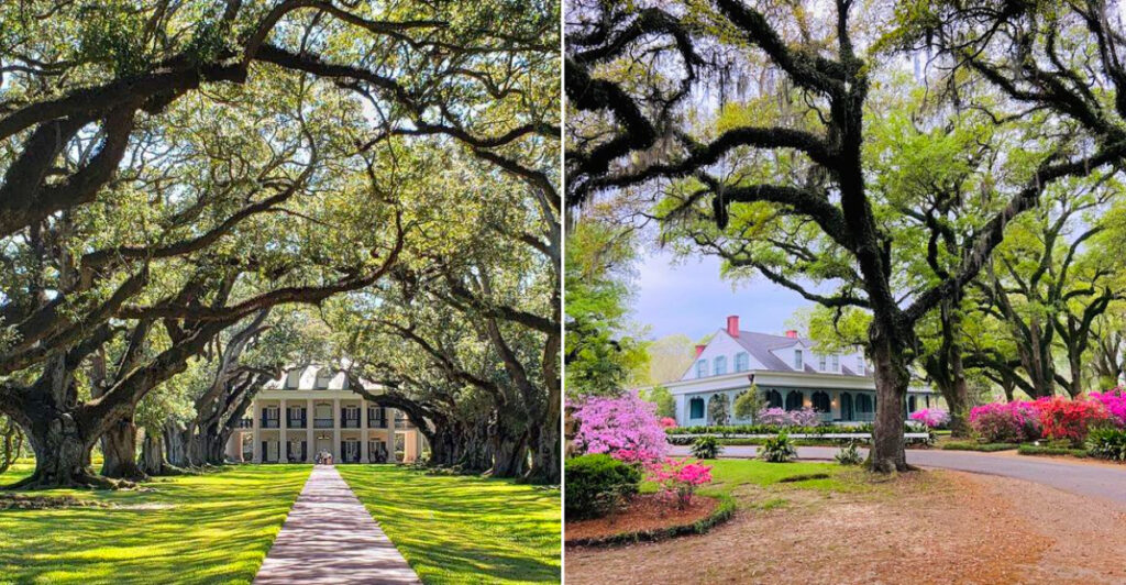 Historic Homes In Louisiana