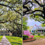 Historic Homes In Louisiana