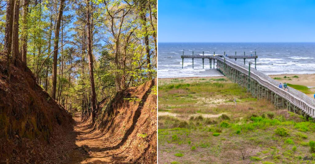 Amazing Camping Spots in Louisiana