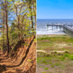 Amazing Camping Spots in Louisiana