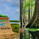 Incredible Day Trips In Louisiana