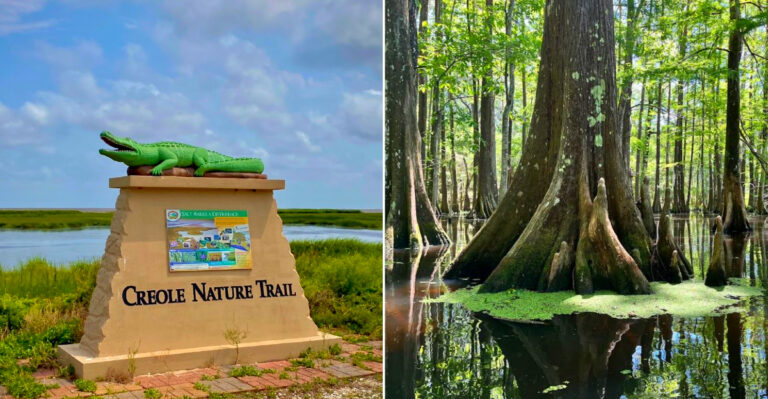 13 Incredible Day Trips In Louisiana You Have Never Taken But Absolutely Should