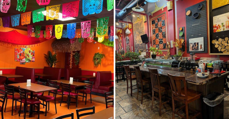 8 Vegan Restaurants In New Mexico That Are An Absolute Must-Visit