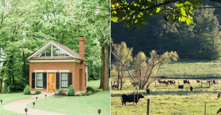 9 Kentucky Towns Locals Love More Than Tourists Ever Realize