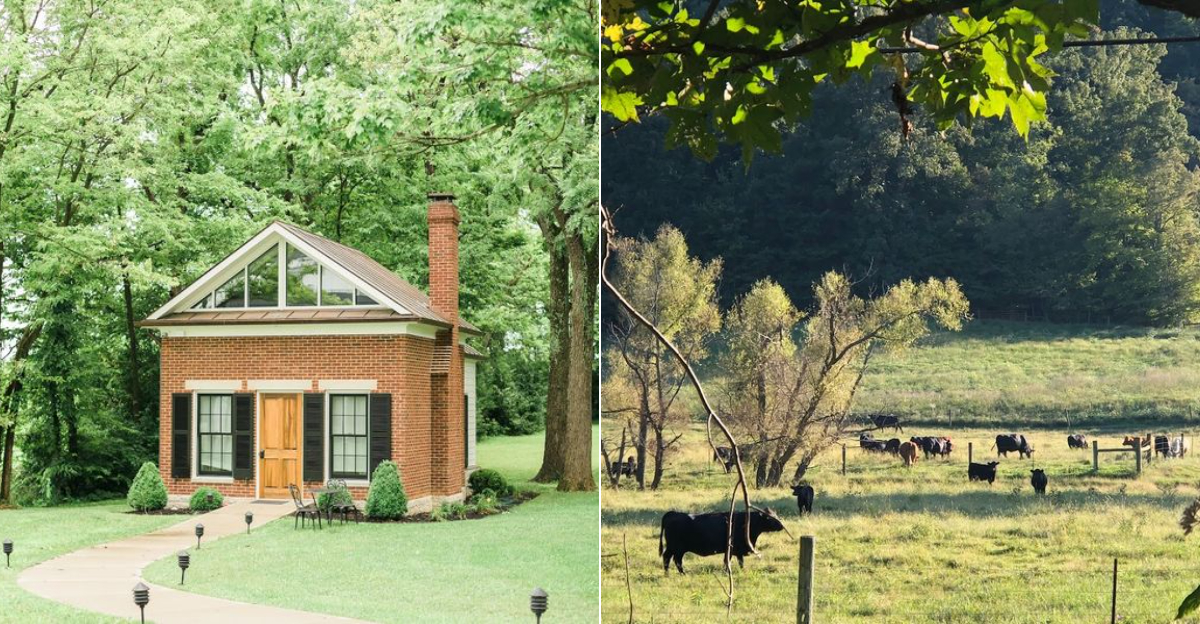9 Kentucky Towns Locals Love More Than Tourists Ever Realize