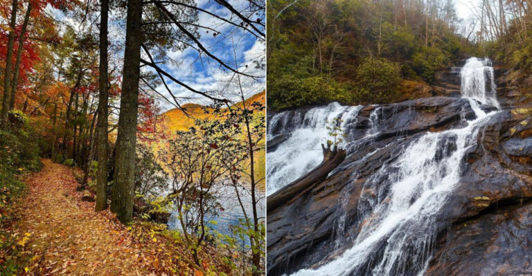 9 Short Georgia Trails That Lead To Peaceful Waterfalls And Scenic Escapes