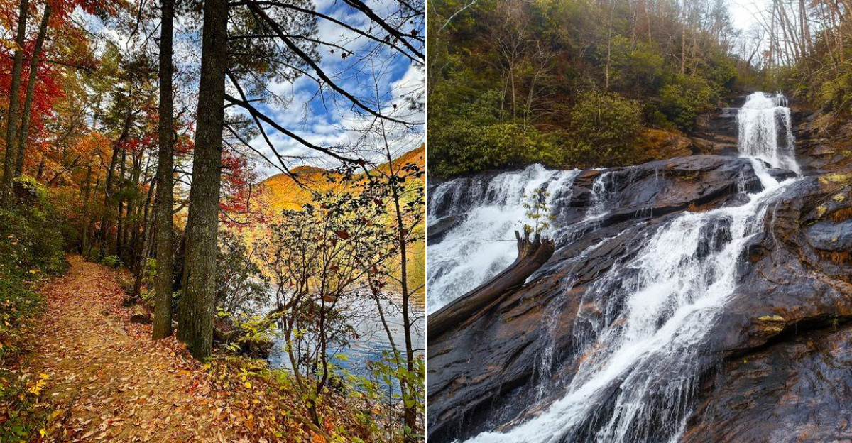 9 Short Georgia Trails That Lead To Peaceful Waterfalls And Scenic Escapes