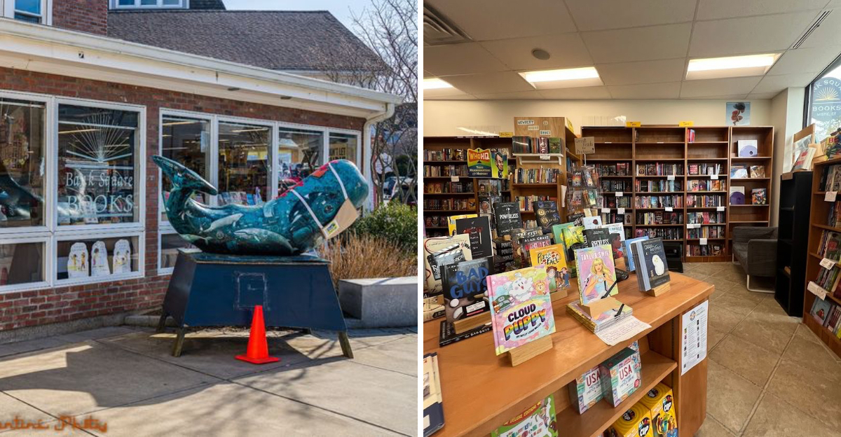 A Beloved Connecticut Bookshop Has Quietly Become One Of The Most Enchanting Independent Stores In The Region Since Opening In 1988