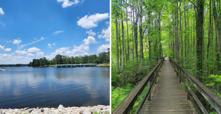 Mississippi Has A 1,700-Acre State Park That Barely Shows Up On Any Best State Parks List And That Needs To Change