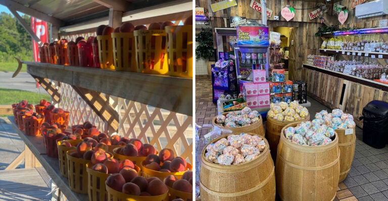 Nobody Leaves This Georgia Peach Orchard Empty-Handed And Nobody Wants To