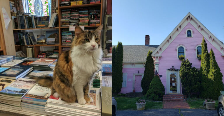 The Most Charming Massachusetts Bookshop Is Inside A 200-Year-Old Sea Captain’s House