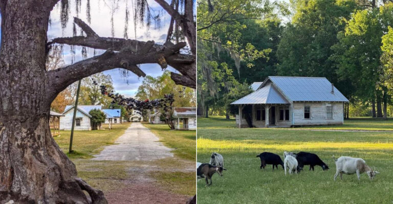 This Abandoned Alabama Movie Set Is Quietly Fading In The Wilderness