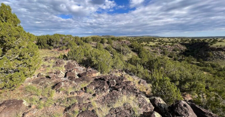 This Ancient New Mexico Trail Lets You Discover Stories Carved In Stone Centuries Ago