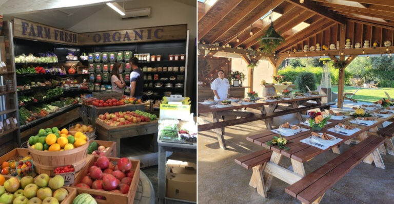This California Farm Stand Smoothie Bar Has Wellness Fans Making It A Part Of Their Routine