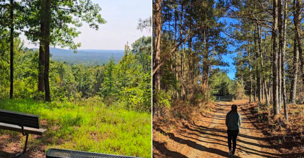 Driskill Mountain Trail
