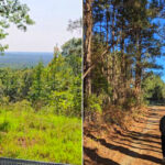 Driskill Mountain Trail