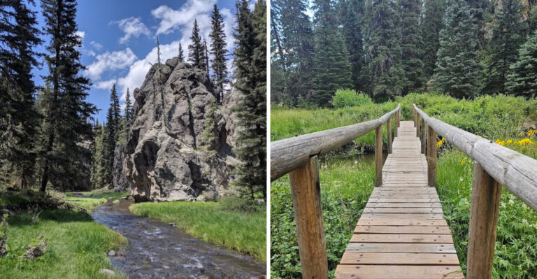 This Hidden New Mexico Trail Feels Like You’ve Found A Secret Lush Canyon