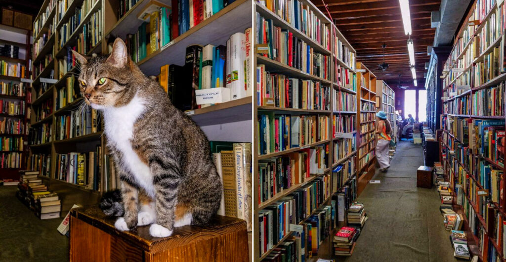 Beckham’s BookShop