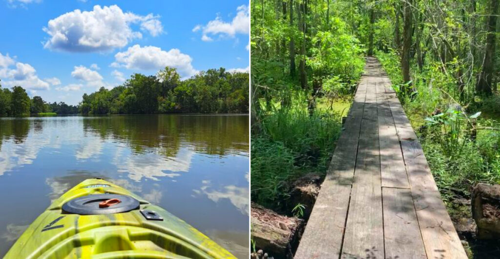 Lake Fausse Pointe State Park