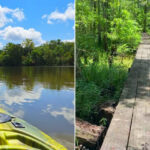Lake Fausse Pointe State Park