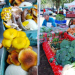 Covington Farmers Market