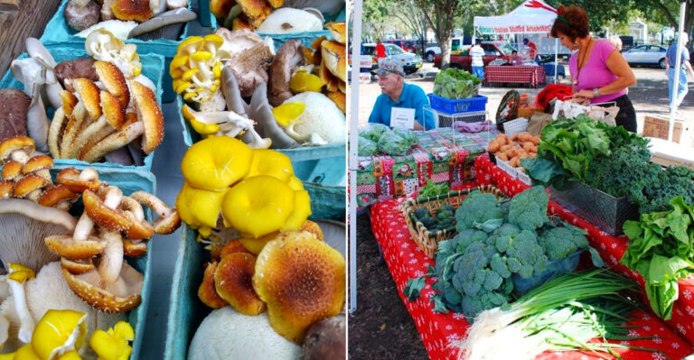 This Louisiana Market Brings A Taste Of The French Countryside To The Bayou State