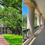 Oak Alley Plantation