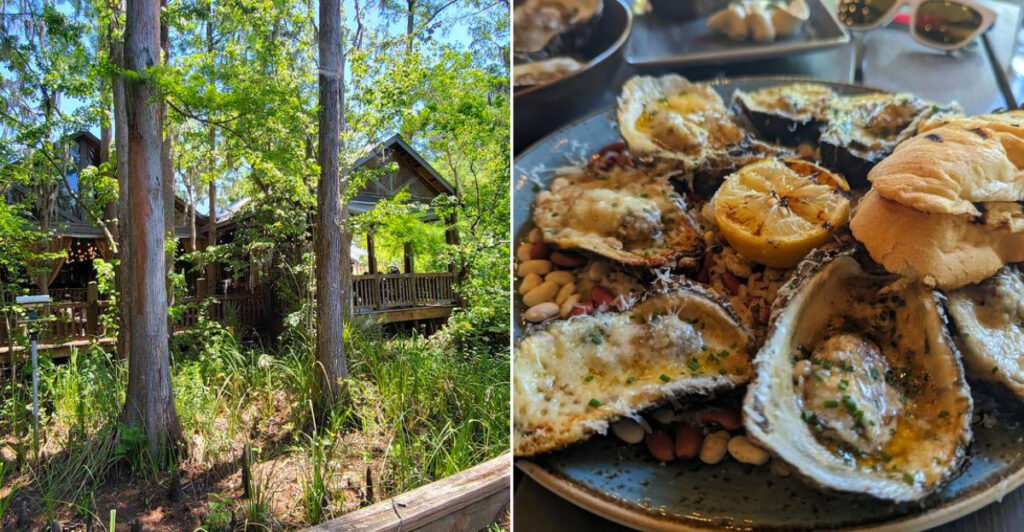 Palmettos on the Bayou