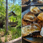 Palmettos on the Bayou