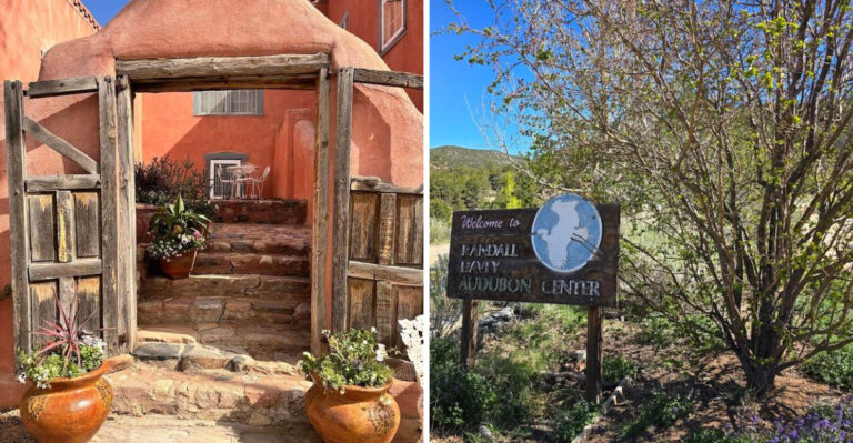 This Lush New Mexico Sanctuary Is Hidden Away On A Historic Artist’s Former Estate