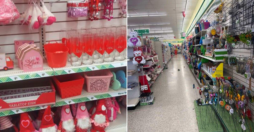 Dollar Tree