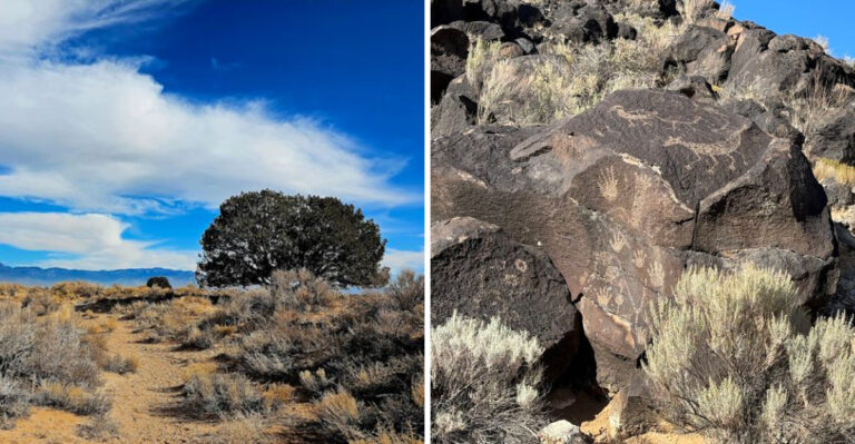 This New Mexico Canyon Is An Ancient Library With Stories Etched Directly Into Stone