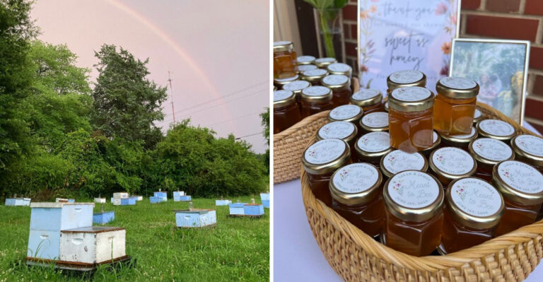 This North Carolina Honey Farm Stand Draws Beekeepers From Across State Lines